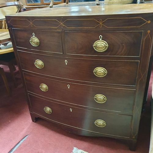 573 - Of Superb quality. An early 19th Century Mahogany and Inlaid bow fronted Chest of Drawers. 105 x 51 ... 