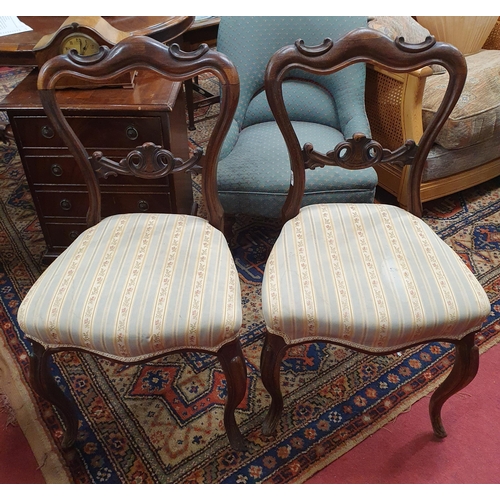 665 - A good pair of 19th Century solid Rosewood dining Chairs with highly carved outline on carved cabrio... 