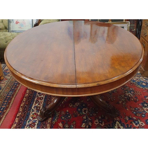 679 - A good 19th Century oval Supper Table of large size on quatrefoil base. 152 x 120 x H 71 cm approx.