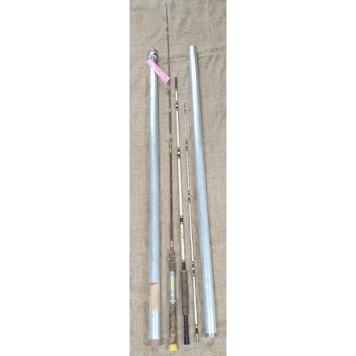 699A - Two Fiberglass Rods along with a Poestenkill Kiking Staff.