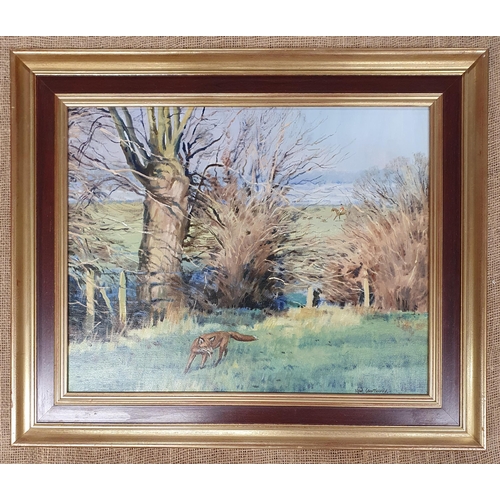 711 - Neil Cawthorne; An Oil On Canvas of a fox outwitting the hounds. Signed lower LR. 40 x 50 cm approx.