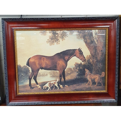 727 - A good pair of coloured Prints of Horses in good frames. 66 x 86 cm approx.