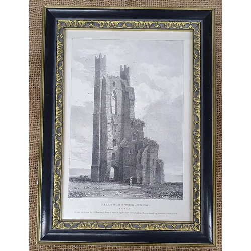 732 - A quantity of Engravings of buildings. Yellow tower Trim, Kilcrea Abbey, Inchmore Castle Kilkenny an... 