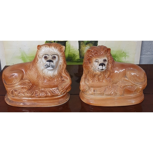 818 - A good pair of 19th Century Staffordshire Fireside Lions. L 30 x H 24 cm approx.