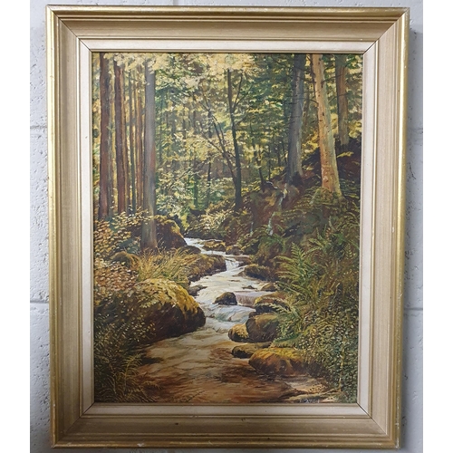 833 - A 20th Century Oil on Board of a river scene with trees in the distance. Signed O'Brian. LR. 44 x 34... 