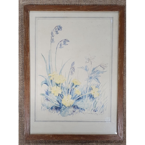 911 - A 20th Century Watercolour of Bluebells and Primroses, by M.F Wickham signed lower right.
30 x 22 cm... 