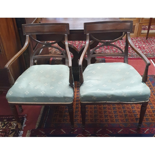 964 - A good pair of Regency Mahogany Carvers with reeded front supports and X Frame stretcher bases. W 54... 