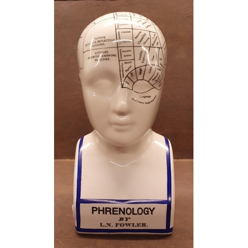 1031 - Phrenology man. A Ceramic Bust.