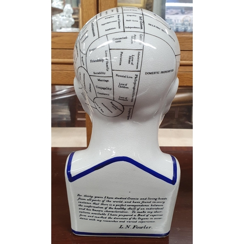 1031 - Phrenology man. A Ceramic Bust.