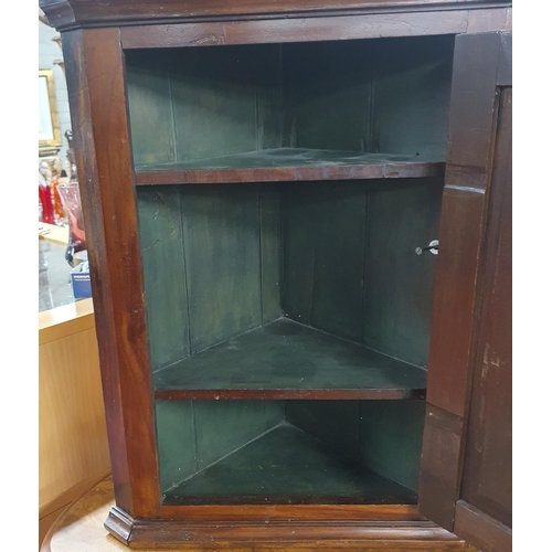 1100 - A 19th Century Walnut wall mounted Corner Cabinet of neat proportions.
H 80 x W 52 x D 30 cm approx.