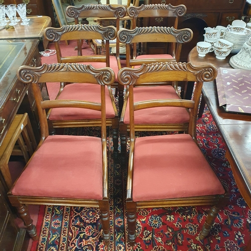 1162 - A Superb set of early 19th Century Mahogany Dining Chairs with highly carved rope edge backs and wit... 