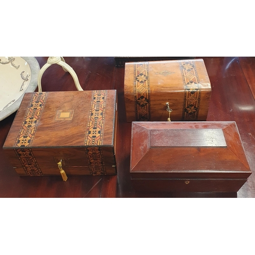 1164 - Three 19th Century Boxes, two Walnut and one Mahogany. Largest H 15 x W 30 x D 22 cm approx.