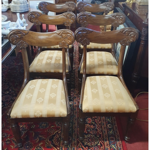 1200 - A good set of William 1Vth Mahogany Dining Chairs with backs and turned acanthus leaf front supports... 