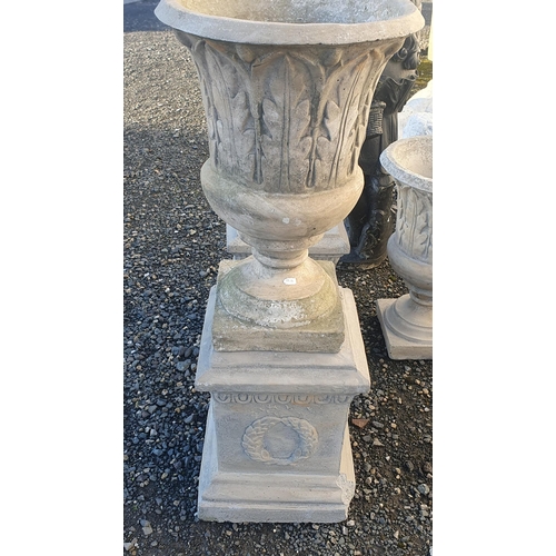 1237 - A good pair of Concrete Urns on pedestals.
H 95 cm approx.