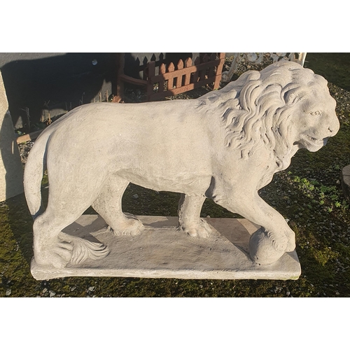 1239 - A pair of Concrete Lions in a standing pose.
H 57 x L 74 cm approx.