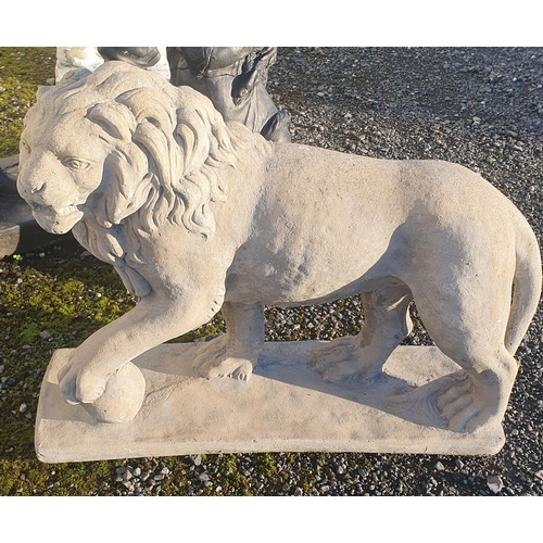 1239 - A pair of Concrete Lions in a standing pose.
H 57 x L 74 cm approx.