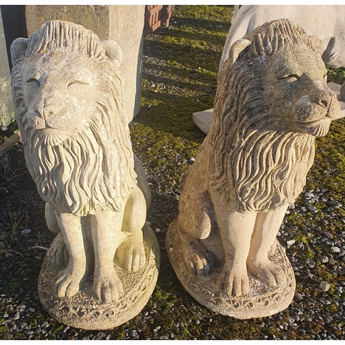 1240 - A pair of reconstructed Lions in an upright pose.
H 55 cm approx.