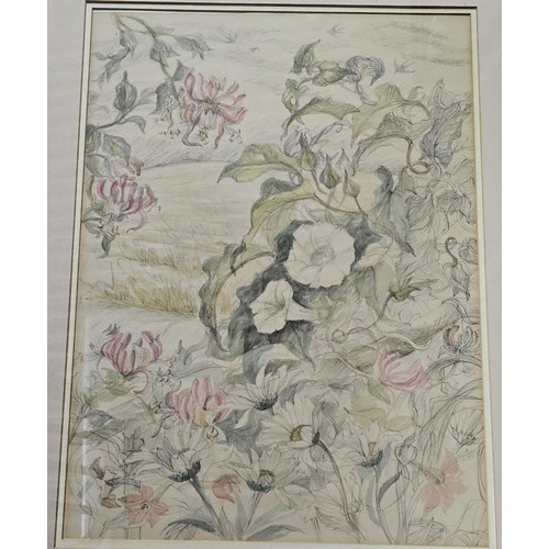 479 - Jennifer Alexander, a large pencil and Watercolour of honeysuckle and other hedgerow Flowers, signed... 