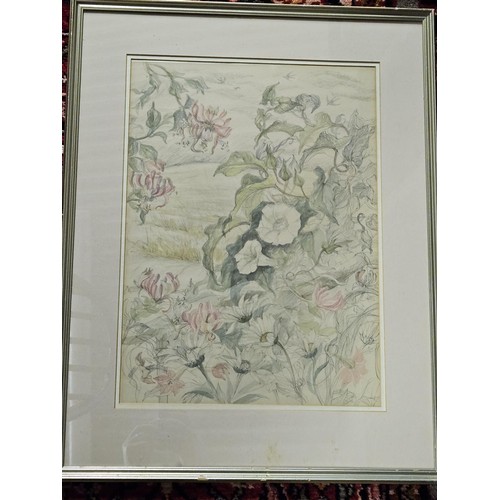 479 - Jennifer Alexander, a large pencil and Watercolour of honeysuckle and other hedgerow Flowers, signed... 