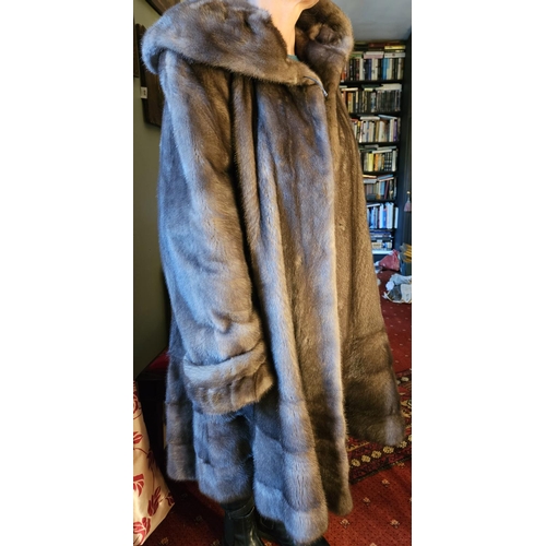 929 - A fabulous Violet/Blue she Mink fur Coat with an oversized Collar and trim Cuffs. Please note no con... 