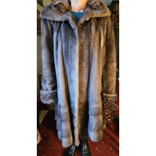 929 - A fabulous Violet/Blue she Mink fur Coat with an oversized Collar and trim Cuffs. Please note no con... 