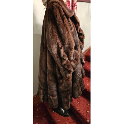 932 - A mid size Brown she Mink fur Coat with an oversized Collar and trim. Please note no condition repor... 