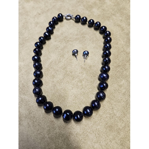 956 - A Black Pearl Necklet along with a pair of Earrings.