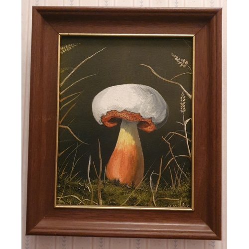 295 - Martin Monks. 'Mushroom'. An Oil on Canvas signed LR. 24 x 18 cm approx.