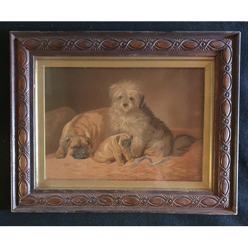 496 - A 19th Century Oleograph of two Pugs and a Terrier. No apparent signature. 38 x 48 cm approx.