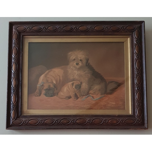 496 - A 19th Century Oleograph of two Pugs and a Terrier. No apparent signature. 38 x 48 cm approx.