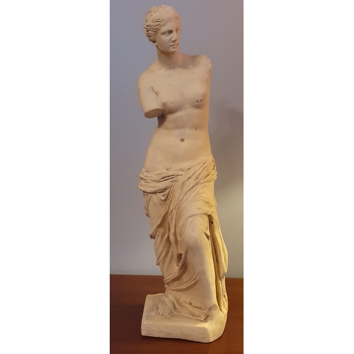 536 - After the original. A Plaster Bust of a Maiden.
H 49 cm approx.