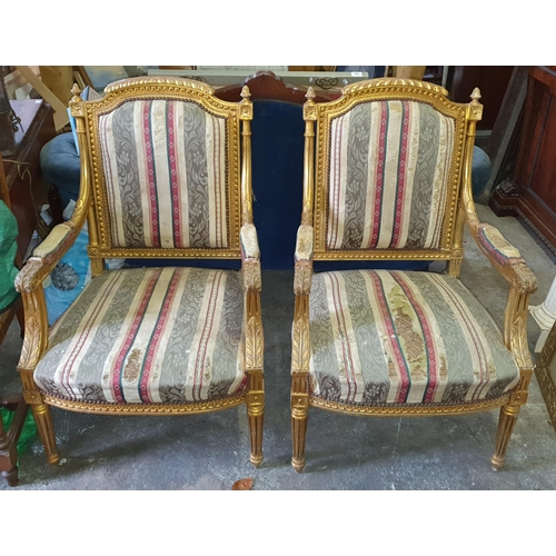 788 - A pair of Continental Timber and Plaster Gilt Armchairs on turned fluted supports. W 59 x SH 44 x BH... 