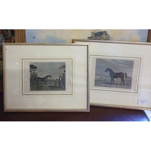 801 - A set of three Fox Hunting Plates along with two coloured engravings of horses and an oil on board o... 