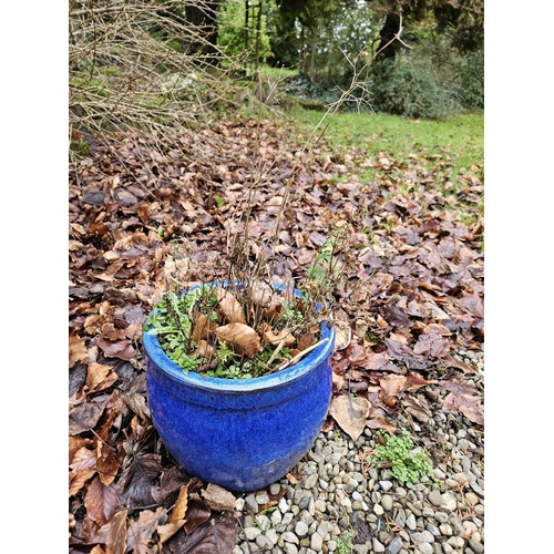 1003 - A group of three Ceramic Planters. Largest being D 40 x H 25 cm approx.