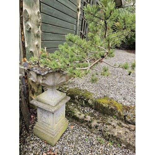 1004 - A good pair of reconstituted Stone Planters on pedestal stands with contents. D 52 x H 90 cm approx.