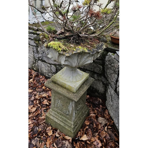 1004 - A good pair of reconstituted Stone Planters on pedestal stands with contents. D 52 x H 90 cm approx.