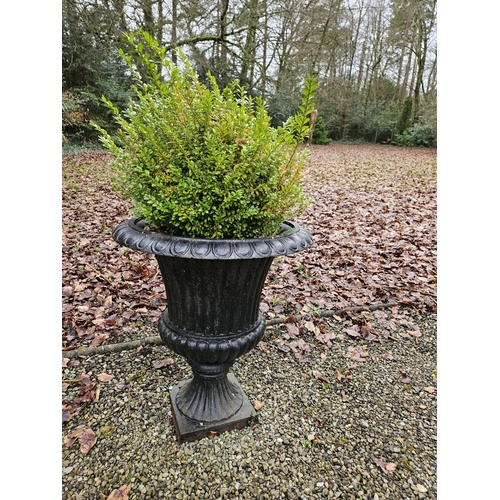 1016 - A very heavy pair of Cast Iron campana shaped Garden Urns of classical form. D 72 x H 77 cm approx.