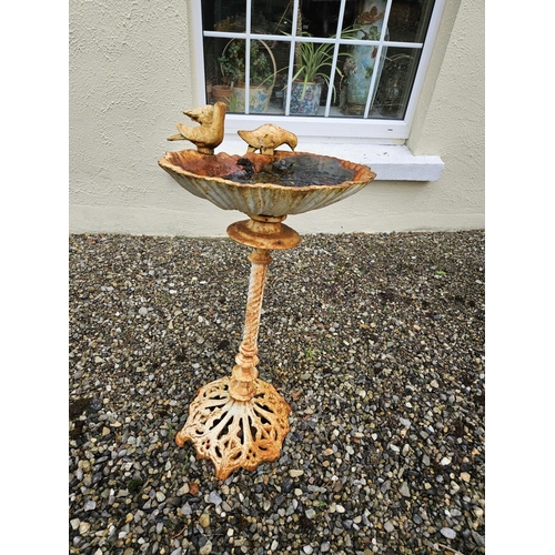 1019 - A Metal Bird Bath. D 48 x H 71 cm approx.