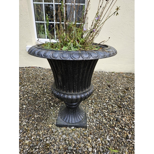 1020 - A very heavy pair of Cast Iron campana shaped Garden Urns of classical form. D 72 x H 77 cm approx.