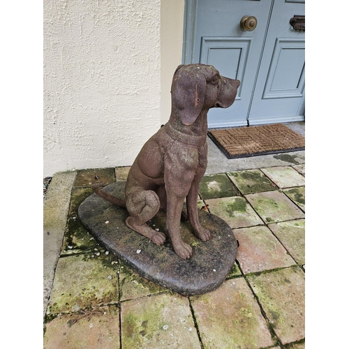 1022 - A lovely pair of Cast Iron Hounds. H 74 cm approx.