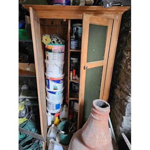 1031 - A stripped Pine Cabinet along with two doors.