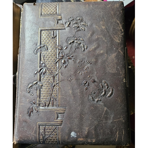 216B - Two 19th Century photo Albums along with a 19th Century Blotter.