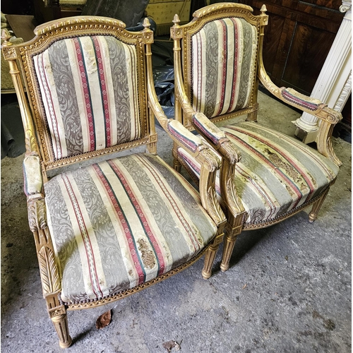 788 - A pair of Continental Timber and Plaster Gilt Armchairs on turned fluted supports. W 59 x SH 44 x BH... 