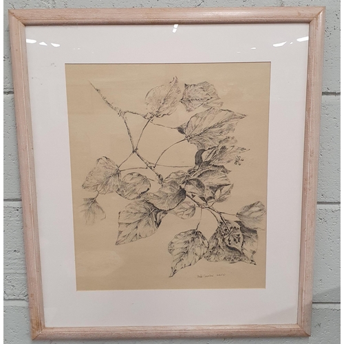 199 - Mike Crumbie. A pencil sketch of a branch signed in the bottom. 49 x 40 cm approx.