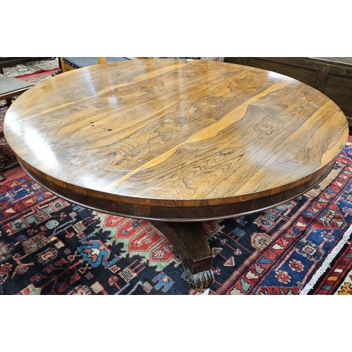 924 - A good low 19th Century circular Rosewood coffee Table on platform base. H 52 x D 130 cm approx.