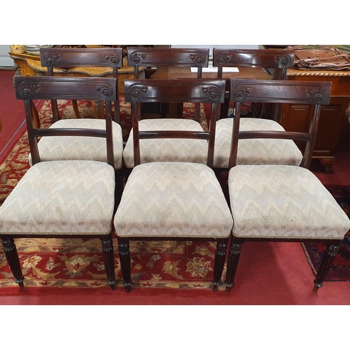 1087 - A really good set of early 19th Century Mahogany Dining Chairs in the manner of Gillows with carved ... 