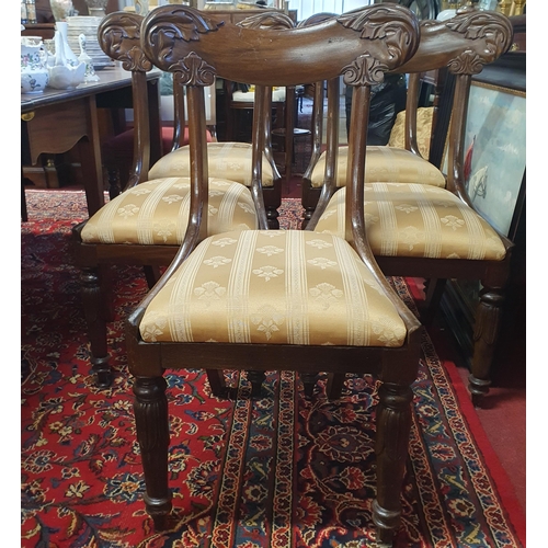 1200 - A good set of William 1Vth Mahogany Dining Chairs with backs and turned acanthus leaf front supports... 