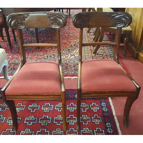 1203 - A pair of William 1Vth Dining Chairs with carved back and sabre front supports.
H 87 x W 48 x D 48 c... 