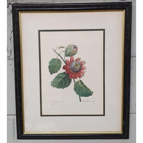 75 - Three 20th Century coloured Prints still life of flowers along with a watercolour.