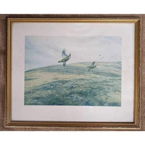 88 - After Archibald Thorburn. A coloured Print of grouse coming in to land along with another.